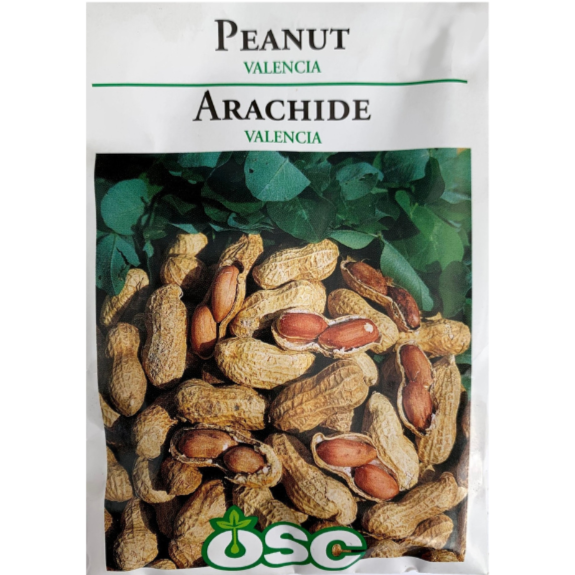 OSC Seeds Peanut Valencia
