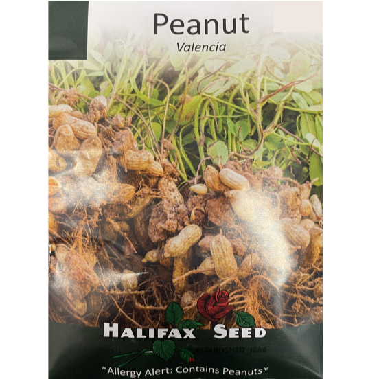 Halifax Seed Peanut Valencia