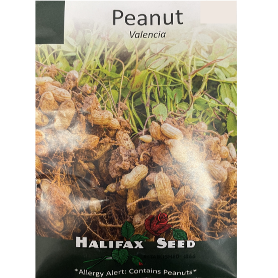 Halifax Seed Peanut Valencia Pkg.