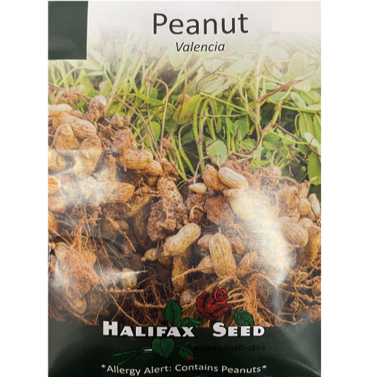 Halifax Seed Peanut Valencia Pkg.