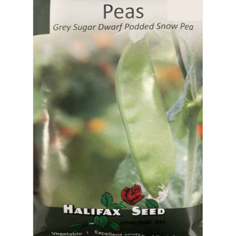 Halifax Seed Peas Grey Sugar Dwarf Podded Snowpea