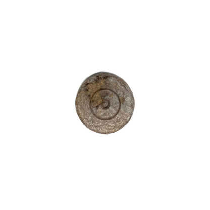 Jiffy Pellet 36mm