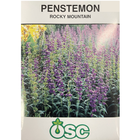 OSC Seeds Penstemon Rocky Mountain Pkg