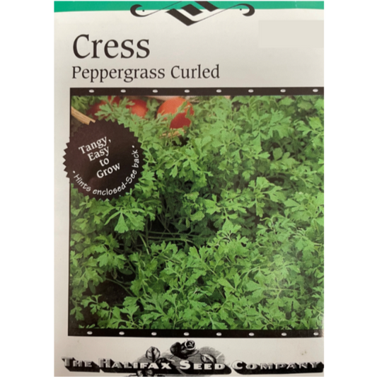 Halifax Seed Cress Peppergrass Curled