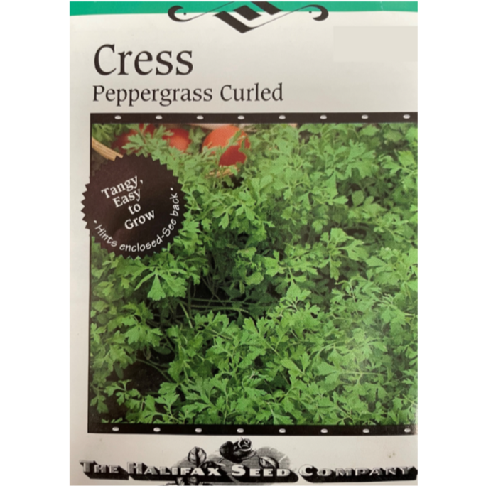 Halifax Seed Cress Peppergrass Curled