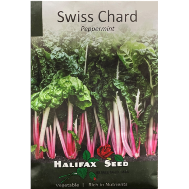 Halifax Seed Swiss Chard Peppermint