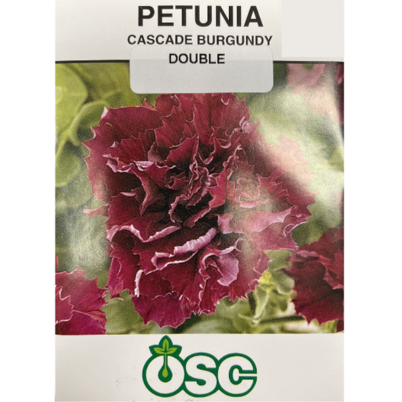 OSC Seeds Petunia Cascade Burgundy Double