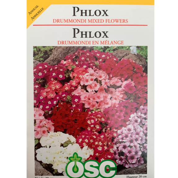 OSC Seeds Phlox Drummondi Mixed Flowers Pkg