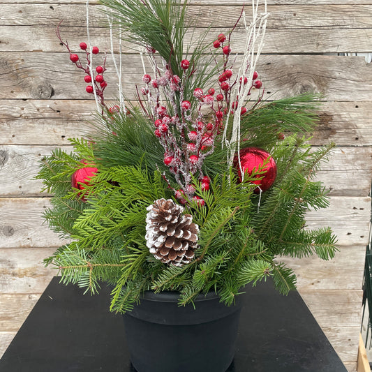 Christmas Planter 'Christmas Cheer' 10" Pot