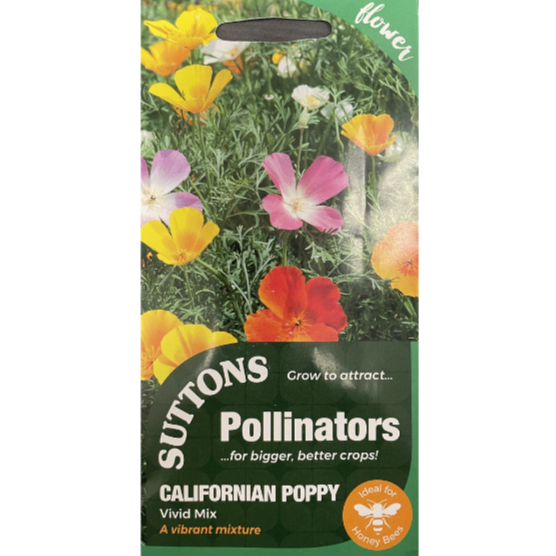 Suttons Seed Pollinators Californian Poppy Vivid Mix