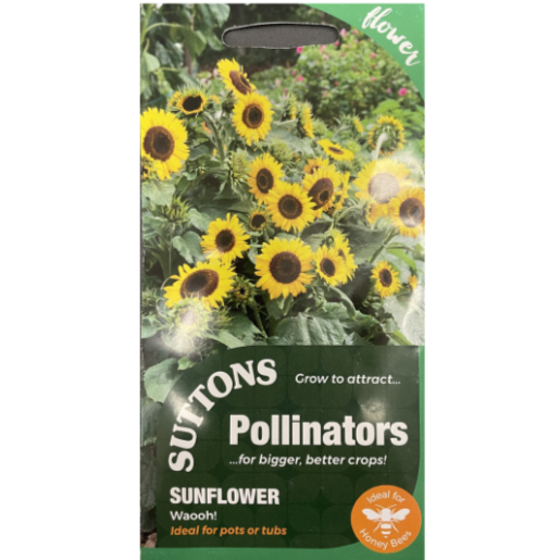 Suttons Seed Pollinators Sunflower Waooh!