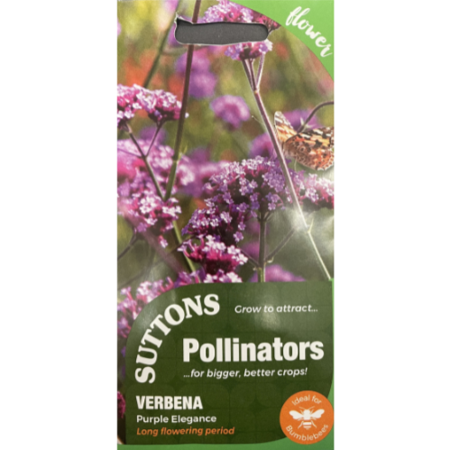 Suttons Seed Pollinators Verbena Purple Elegance