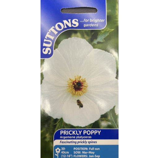 Suttons Seed Prickly Poppy