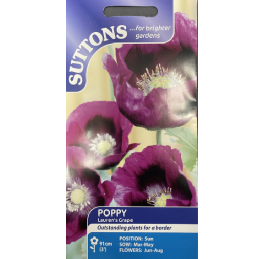 Suttons Seed Poppy Lauren's Grape