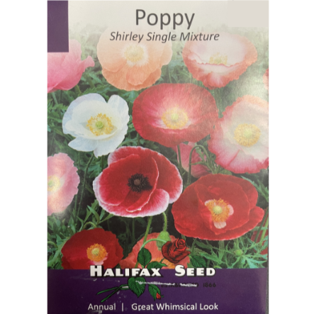 Halifax Seed Poppy Shirley Single Mixture