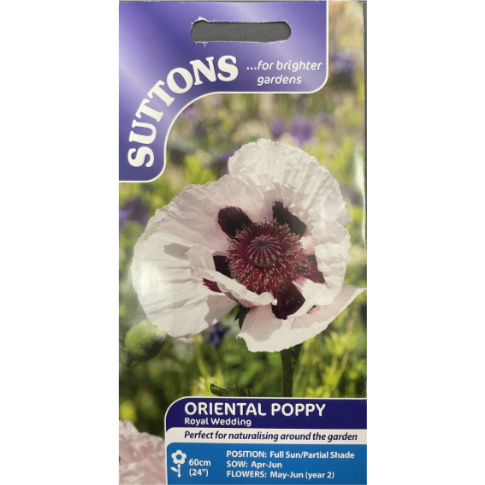 Suttons Seed Oriental Poppy Royal Wedding