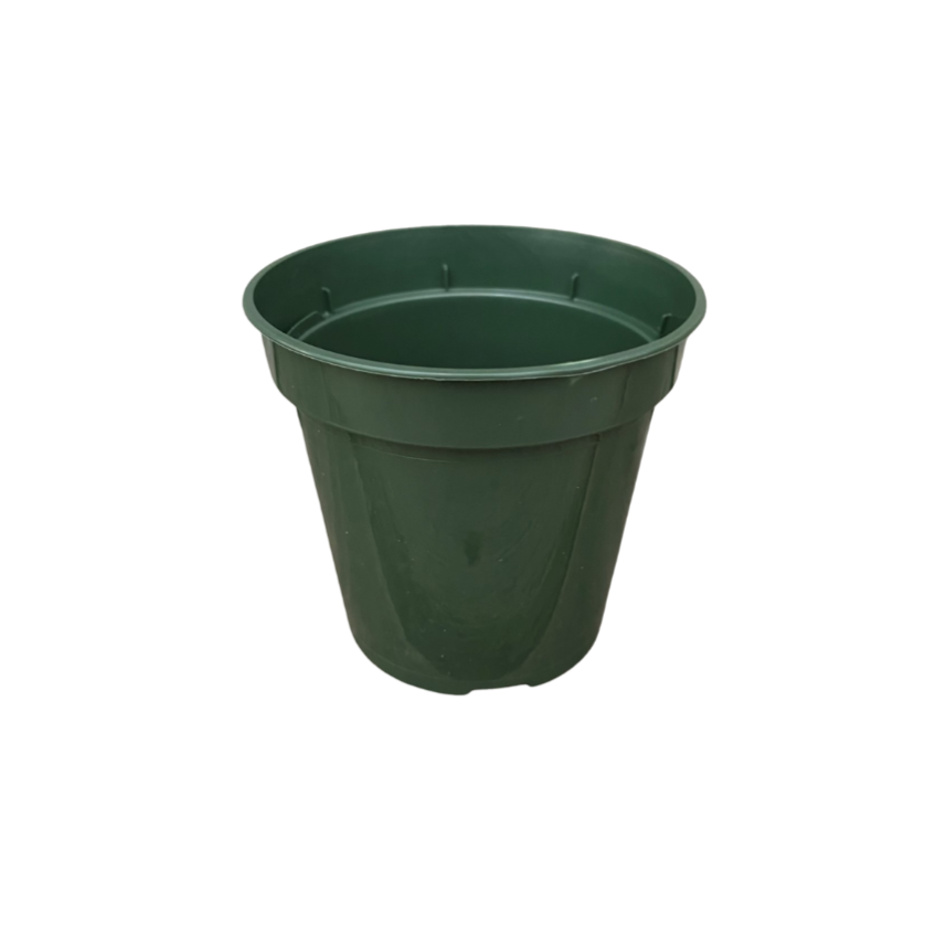 Pot 3.5" Standard Round Green Plastic