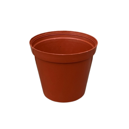 Terra Cotta Plastic Mini Pot