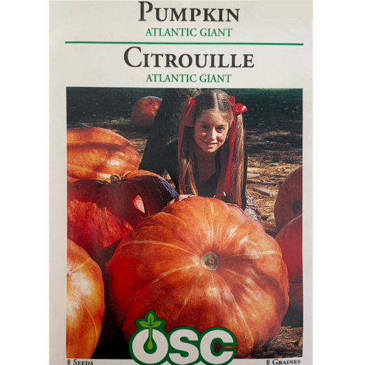 OSC Seeds Pumpkin Atlantic Giant Pkg.