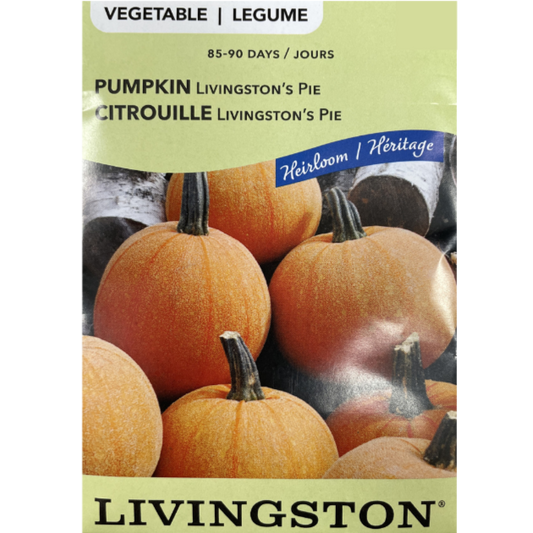 Livingston Seeds Pumpkin Livingston's Pie Pkg