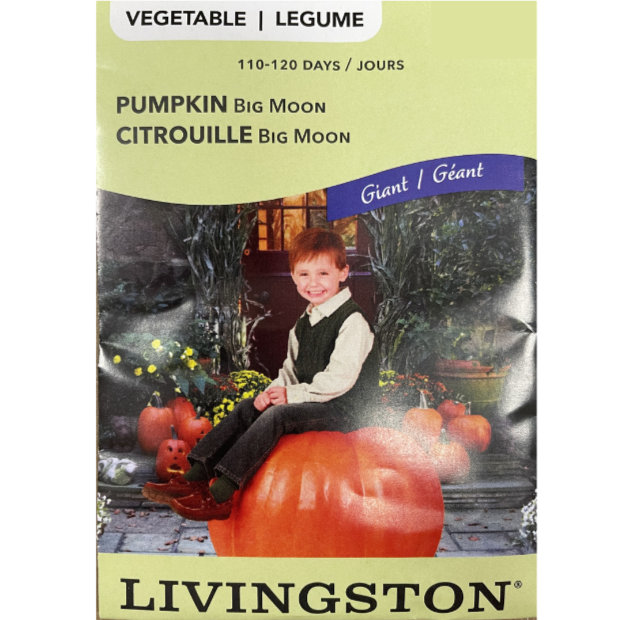 Livingston Seeds Pumpkin Big Moon Pkg