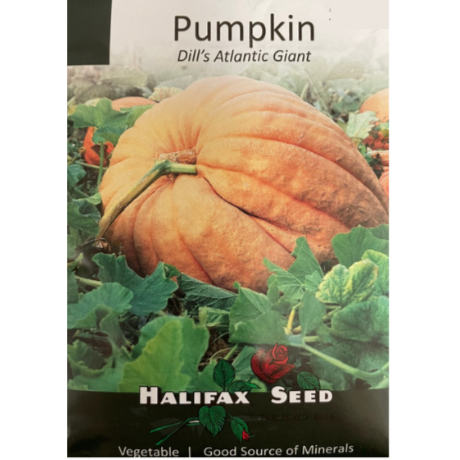 Halifax Seed Pumpkin Dill's Atlantic Giant