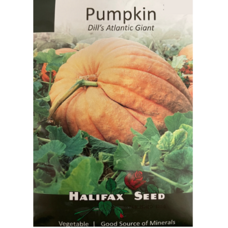 Halifax Seed Pumpkin Dill's Atlantic Giant Pkg.