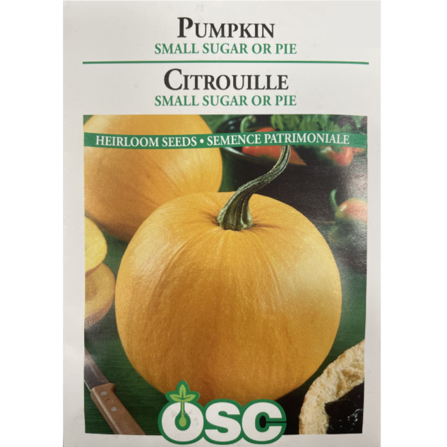 OSC Seeds Pumpkin Small Sugar or Pie Pkg