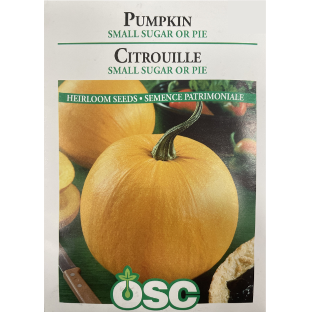 OSC Seeds Pumpkin Small Sugar or Pie Pkg.
