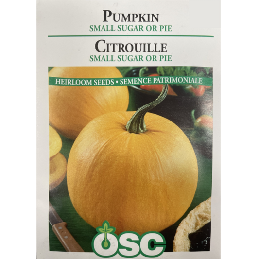 OSC Seeds Pumpkin Small Sugar or Pie Pkg.