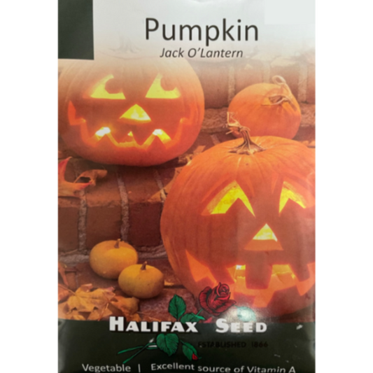 Halifax Seed Pumpkin Jack O'Lantern
