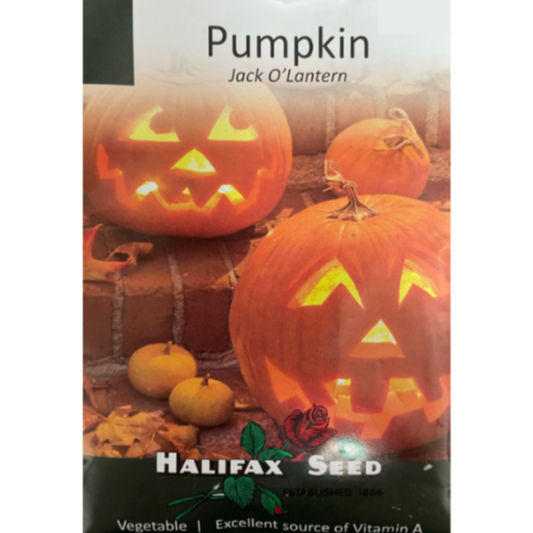 Halifax Seed Pumpkin Jack O'Lantern Pkg.