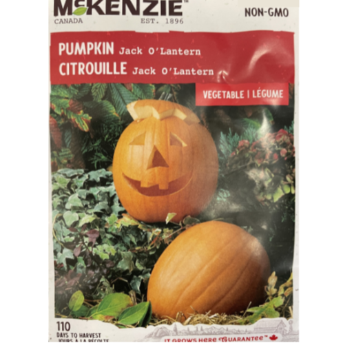 McKenzie Seed Pumpkin Jack O'Lantern Pkg.