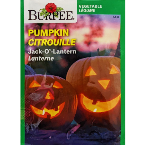 Burpee Seeds Pumpkin Jack-O-Lantern