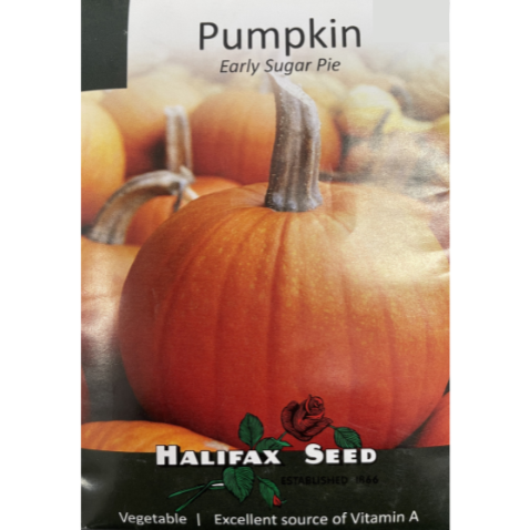 Halifax Seed Pumpkin Early Sugar Pie