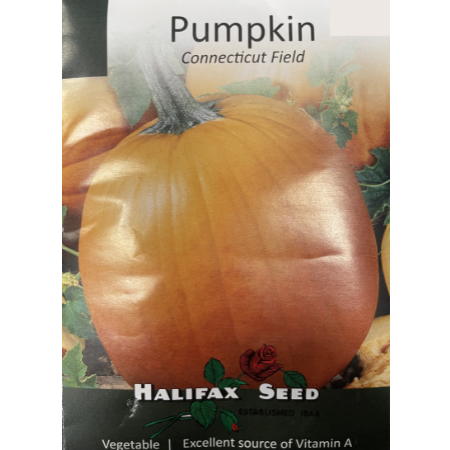 Halifax Seed Pumpkin Connecticut Field