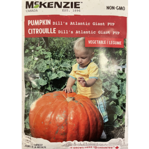 McKenzie Seed Pumpkin Dill's Atlantic Giant PVP Pkg