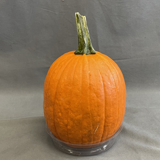 Pie Pumpkin Fresh Local