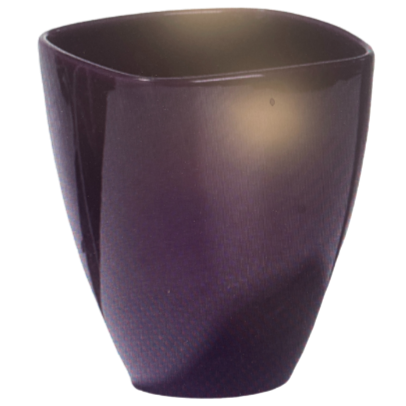 Orchid Pots 5"
