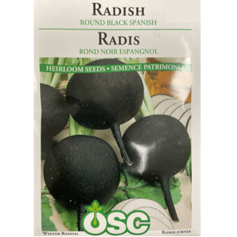 OSC Seeds Radish Round Black Spanish