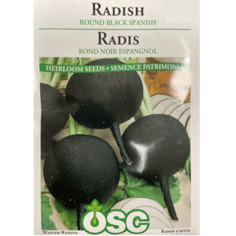 OSC Seeds Radish Black Spanish Round Pkg.