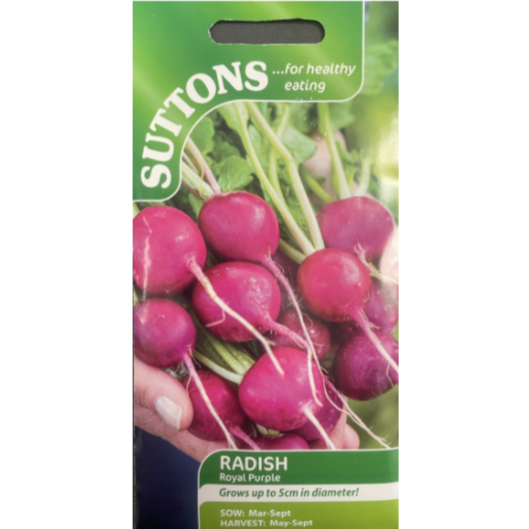 Suttons Seed Radish Royal Purple