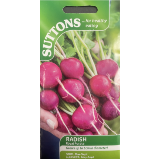 Suttons Seed Radish Royal Purple Pkg.