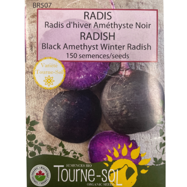 Tourne-Sol Radish Black Amethyst Winter Radish Pkg