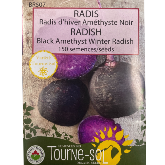 Tourne-Sol Radish Black Amethyst Winter Pkg.