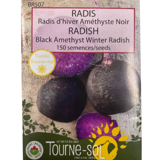 Tourne-Sol Radish Black Amethyst Winter Radish Pkg