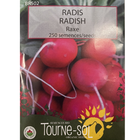 Tourne-Sol Radish Raxe Pkg.