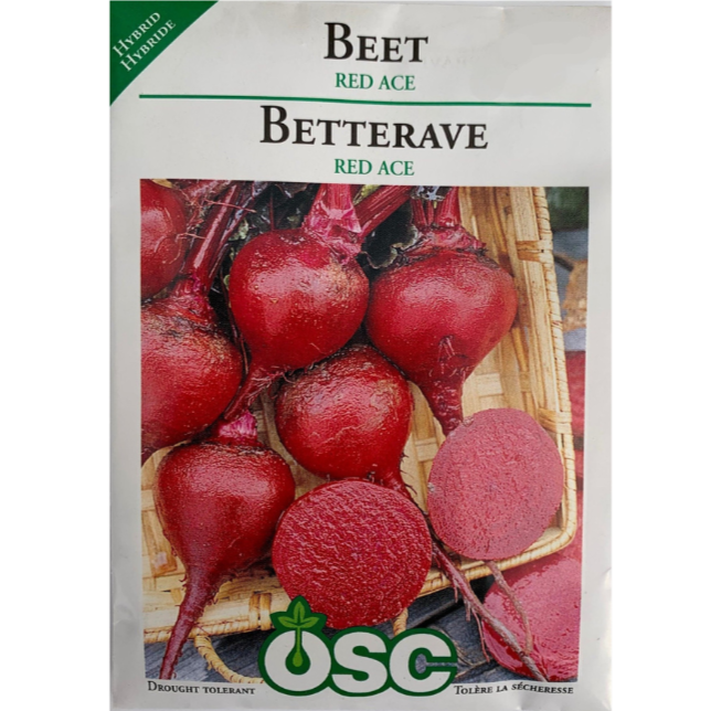 OSC Seeds Beet Red Ace Pkg