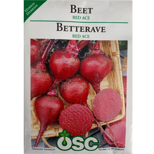 OSC Seeds Beet Red Ace Pkg