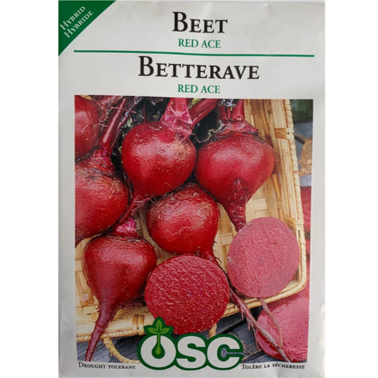 OSC Seeds Beet Red Ace Pkg.